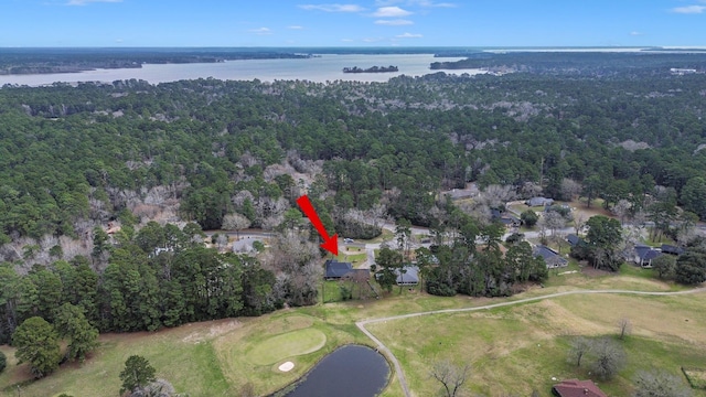 bird's eye view featuring a water view and a forest view