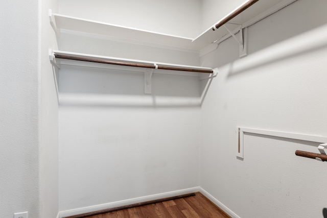 spacious closet featuring dark wood-style flooring