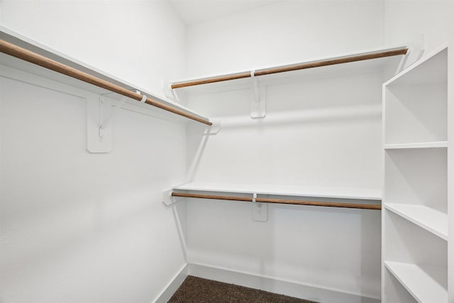 spacious closet with dark carpet