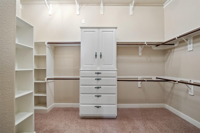 walk in closet with light colored carpet