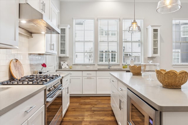 kitchen with stainless steel appliances, extractor fan, a sink, and a healthy amount of sunlight