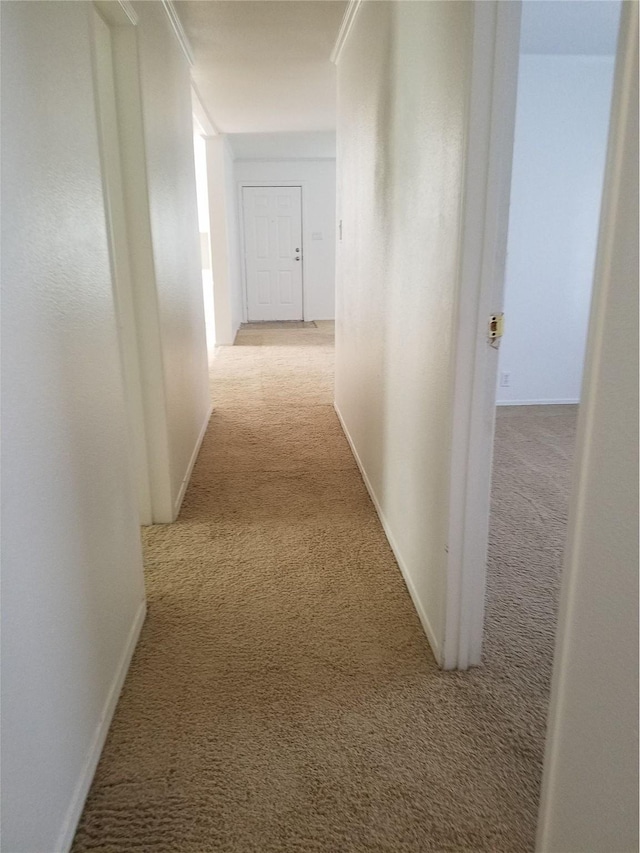 corridor featuring baseboards and carpet floors