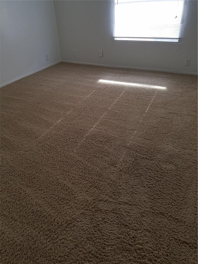 spare room featuring carpet flooring