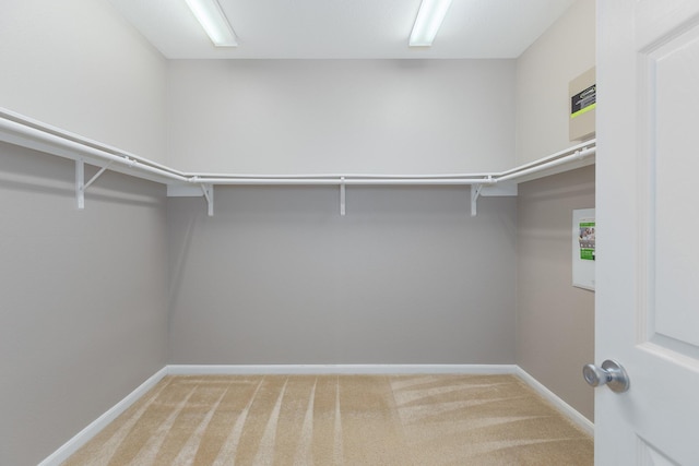 spacious closet featuring light carpet