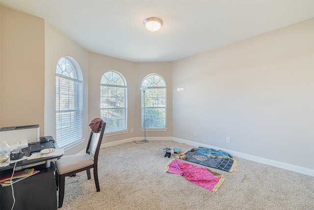 carpeted office with baseboards