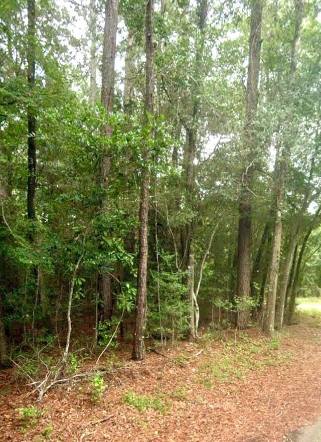 Listing photo 2 for 329 County Road 3600, Splendora TX 77372