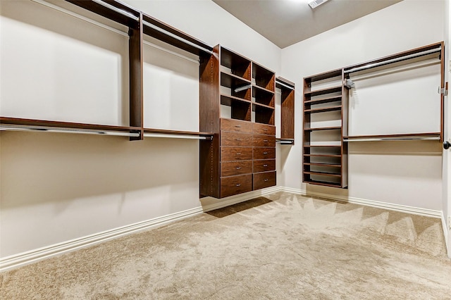 spacious closet with carpet flooring