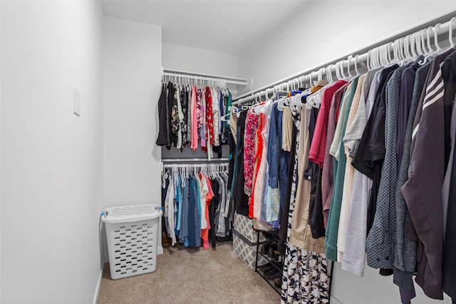 walk in closet featuring carpet floors