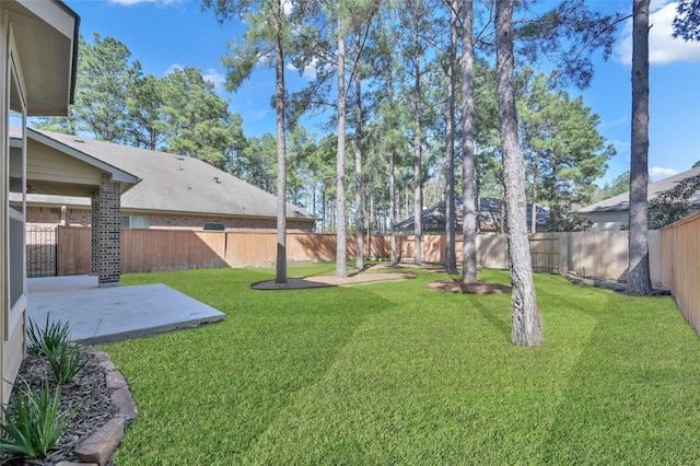 view of yard with a patio area and a fenced backyard