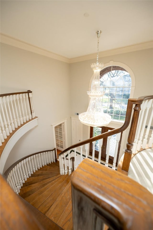 stairs with crown molding, a notable chandelier, and wood finished floors