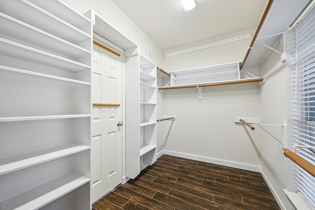 spacious closet featuring wood tiled floor