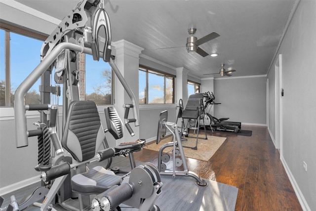 exercise area featuring ceiling fan, baseboards, wood finished floors, and ornamental molding