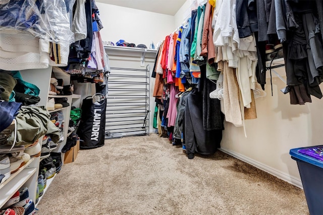 walk in closet featuring carpet floors