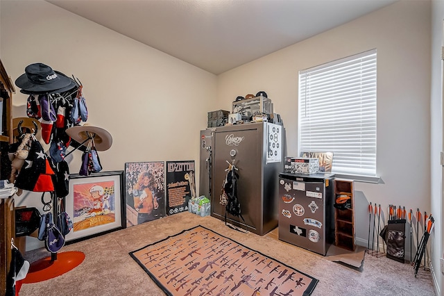 game room featuring carpet