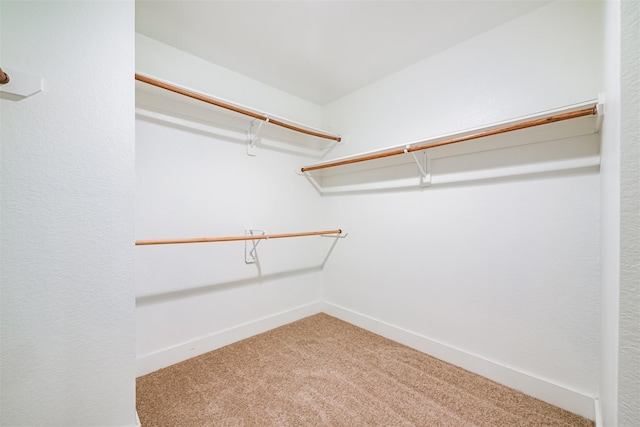 spacious closet with carpet flooring