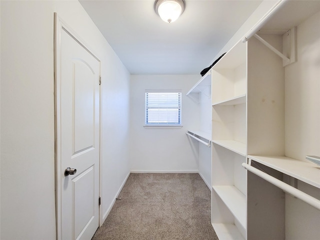 spacious closet featuring light carpet