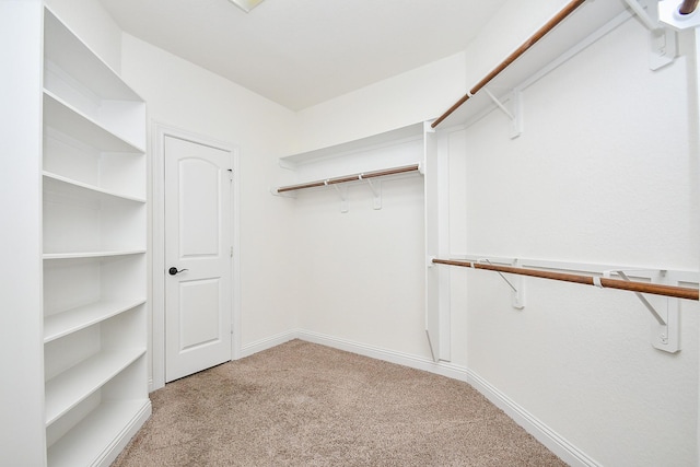 walk in closet featuring carpet floors