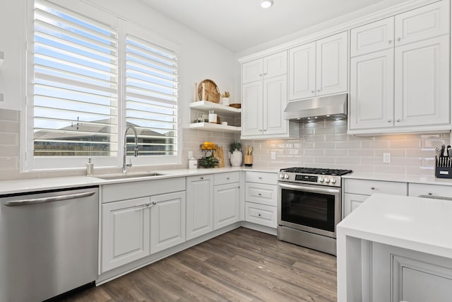 kitchen featuring backsplash, under cabinet range hood, appliances with stainless steel finishes, wood finished floors, and a sink