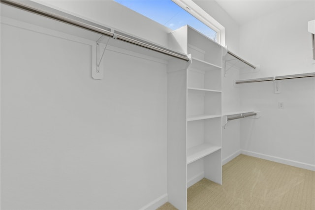 spacious closet featuring light carpet