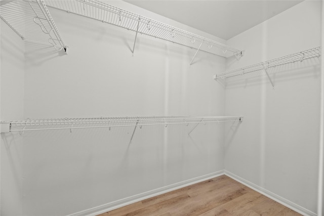 walk in closet with light wood finished floors