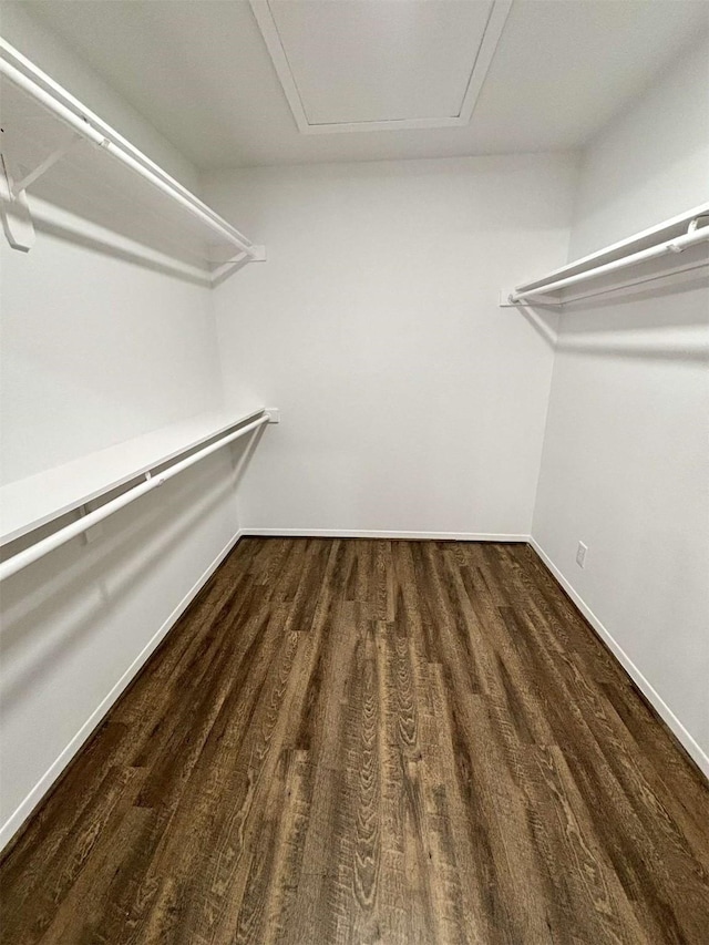 spacious closet with wood finished floors