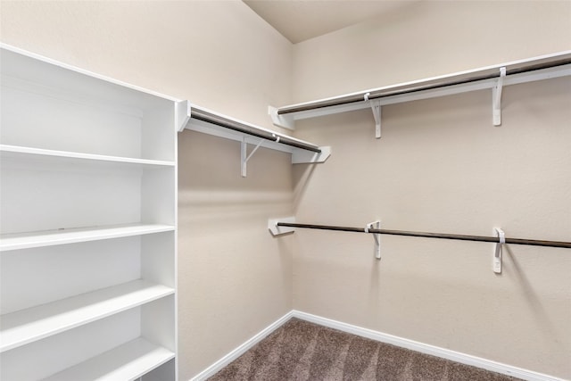 walk in closet with dark colored carpet