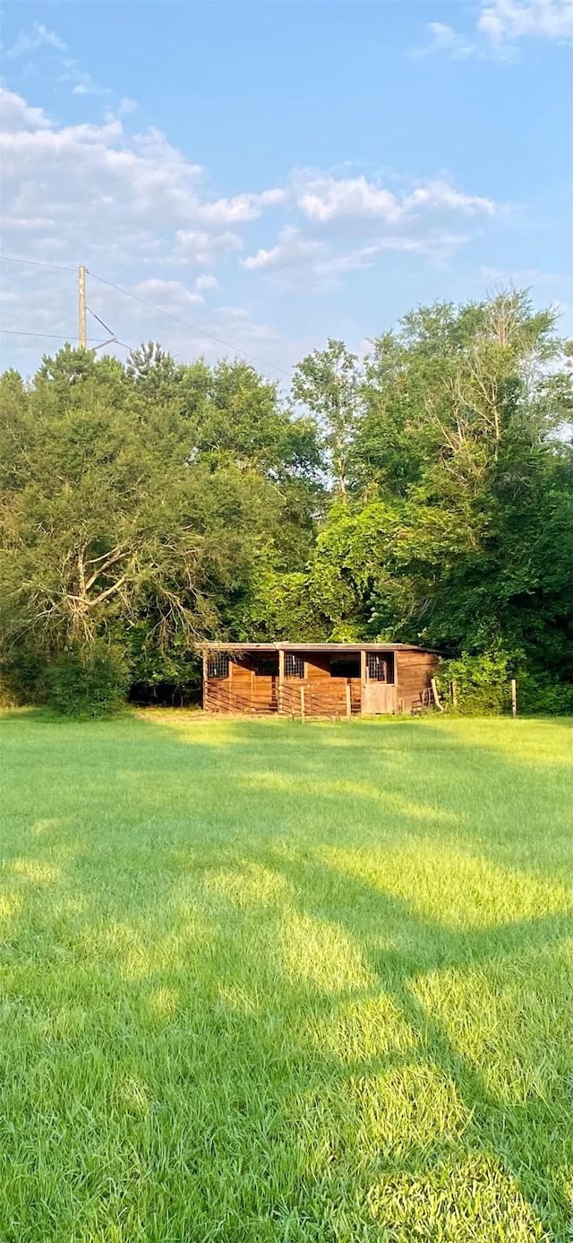 view of yard featuring an outbuilding