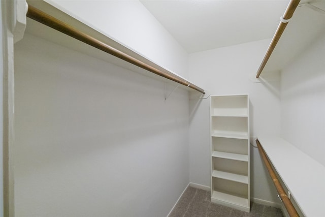 spacious closet with dark colored carpet