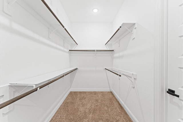 spacious closet featuring light carpet