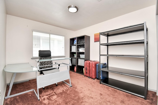 office space featuring carpet flooring and baseboards