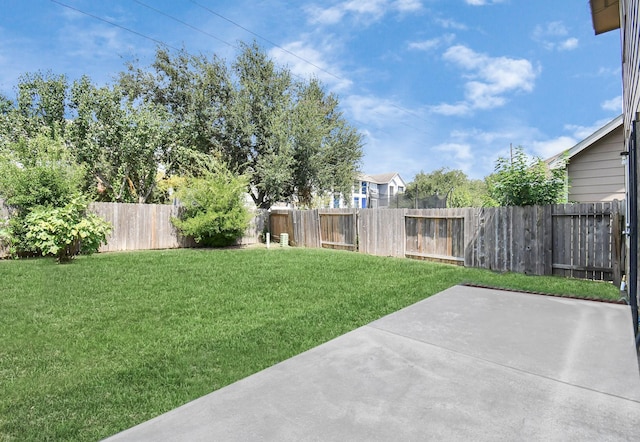 view of yard featuring a fenced backyard and a patio