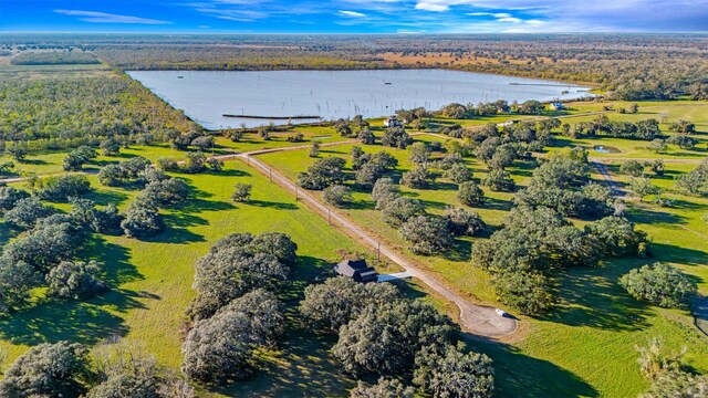 drone / aerial view featuring a water view and a view of trees