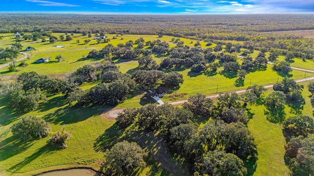 drone / aerial view with a water view and a forest view