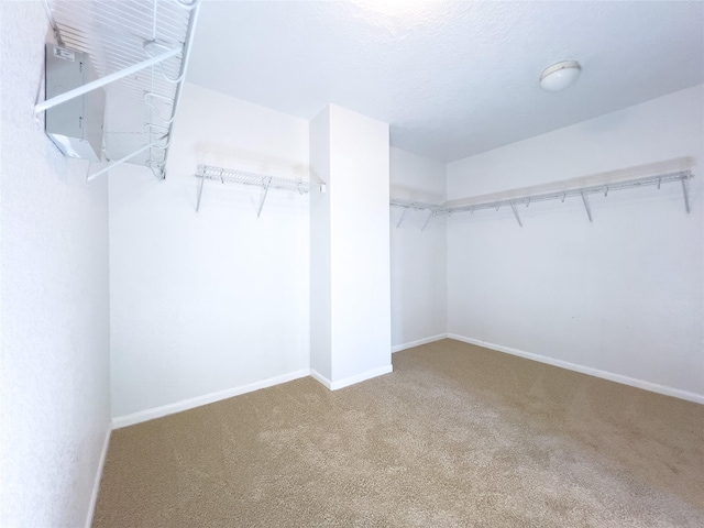 spacious closet with carpet