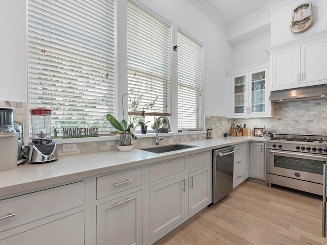 kitchen with light countertops, appliances with stainless steel finishes, ornamental molding, a sink, and under cabinet range hood