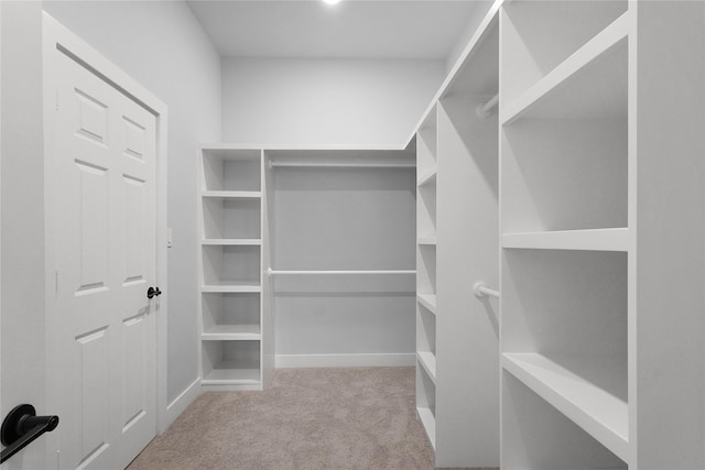 spacious closet with carpet floors