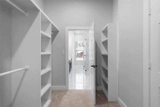 spacious closet with carpet