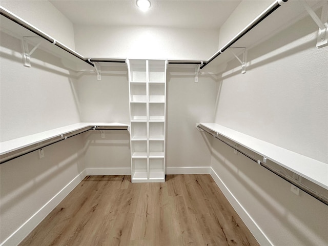 walk in closet featuring light wood-style floors