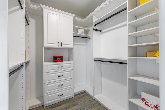 spacious closet featuring wood finished floors