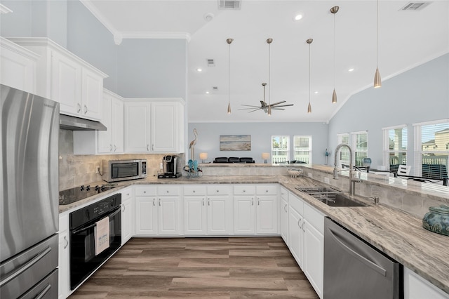 kitchen with ornamental molding, light stone countertops, under cabinet range hood, black appliances, and a sink