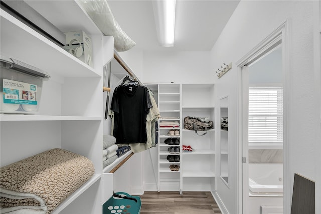 walk in closet with wood finished floors