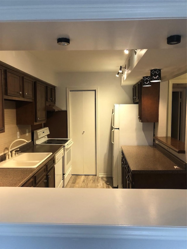 kitchen featuring electric stove, tasteful backsplash, a sink, dark brown cabinetry, and light wood-type flooring