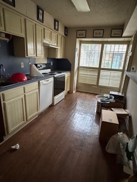 kitchen featuring dark wood-type flooring, white dishwasher, under cabinet range hood, and range with electric cooktop