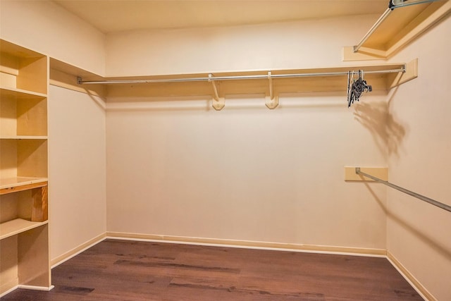 spacious closet with dark wood finished floors