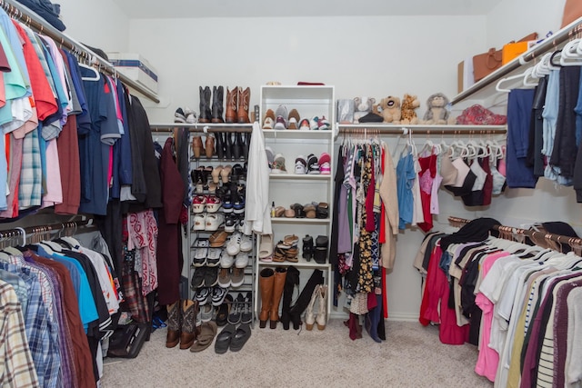 view of walk in closet