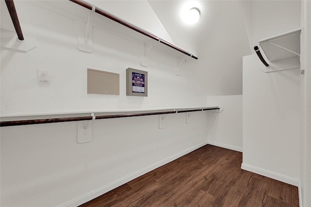 spacious closet featuring vaulted ceiling and dark wood-style flooring