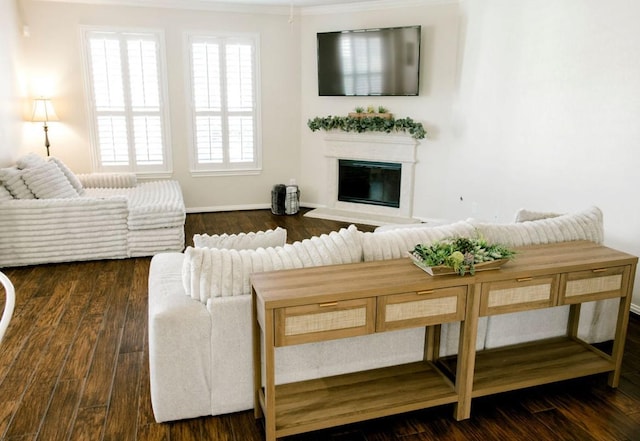 living room with a glass covered fireplace, baseboards, and wood finished floors