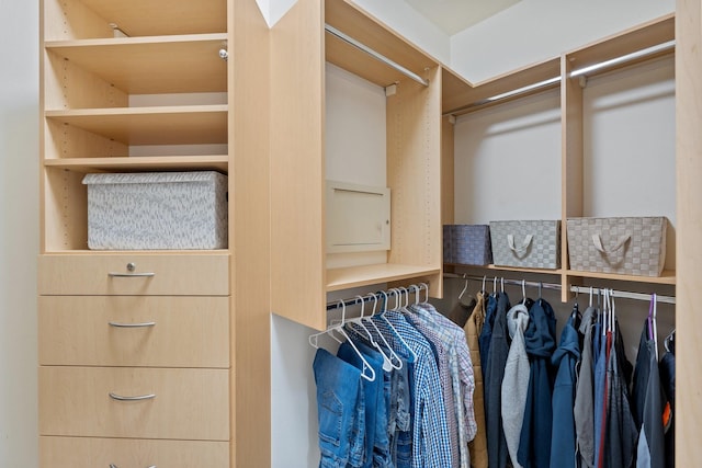 view of walk in closet