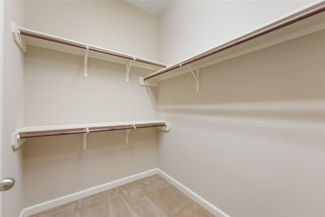 walk in closet with light carpet