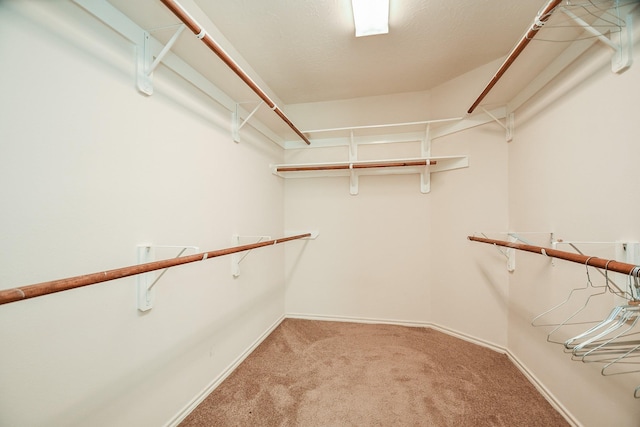 walk in closet featuring carpet floors